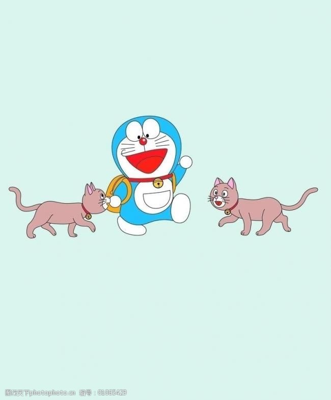 公狗宠物狗推荐品种