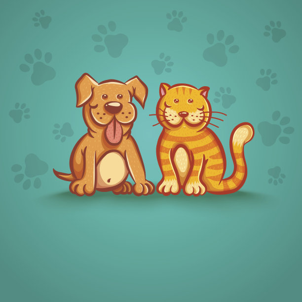 宠物狗小小滴：毛茸茸的家庭成员与生活小确幸